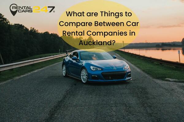 image of What are Things to Compare Between Car Rental Companies in Auckland? 