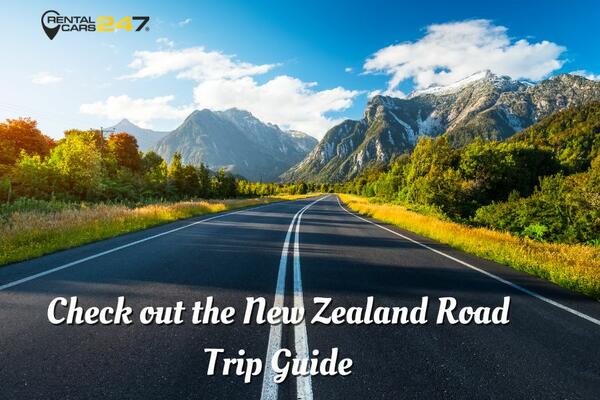 image of Check out the New Zealand Road Trip Guide
